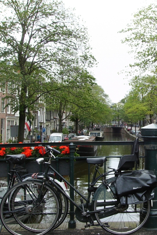 2.5-Hour Amsterdam Sightseeing Tour by Bike - Price and value: what $341 really buys for up to 4