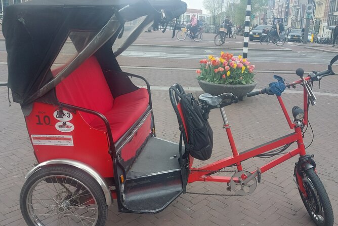2 Hours Private Amsterdam Rickshaw Tour - A 2-hour private Amsterdam rickshaw built for quick, real sightseeing