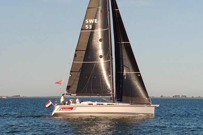 3 hour boarding ticket Summer sailing from Wemeldinge (Zeeland) - Wildlife Chances: Seals, Porpoises, and the Payoff of Being Out There