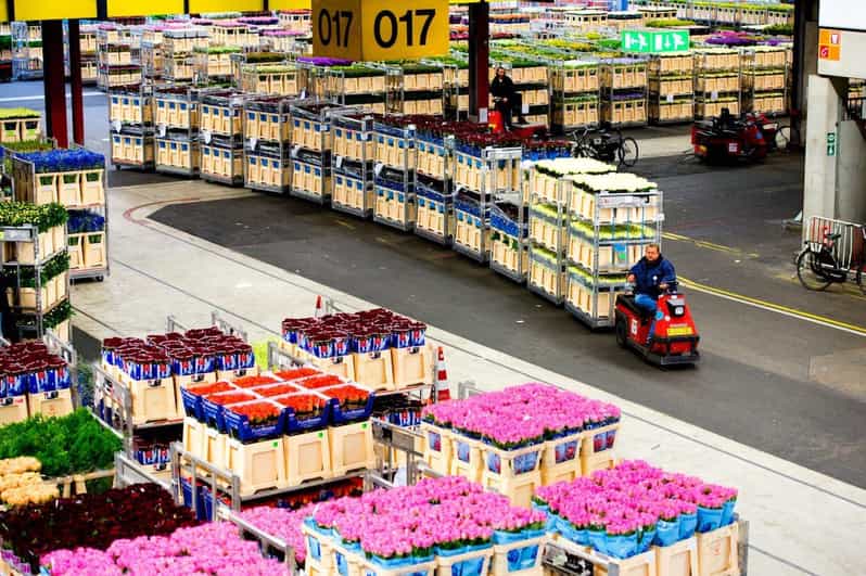 Aalsmeer: Flower Auction Royal Flora Holland Entry Ticket - Price and what your entry really buys
