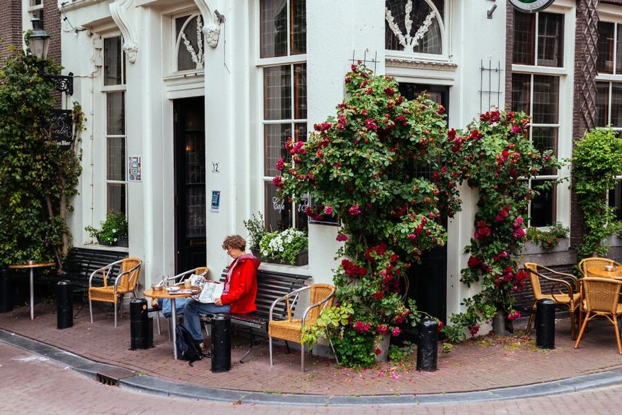 Amsterdam: 1.5-Hour Private Kick-Start Tour with a Local - Price at $93 Per Person: Is It Worth It?