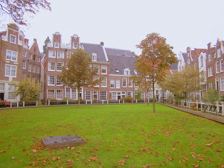 Amsterdam 1-Hour Rickshaw Tour - What you feel in the rickshaw ride (and what to watch for)