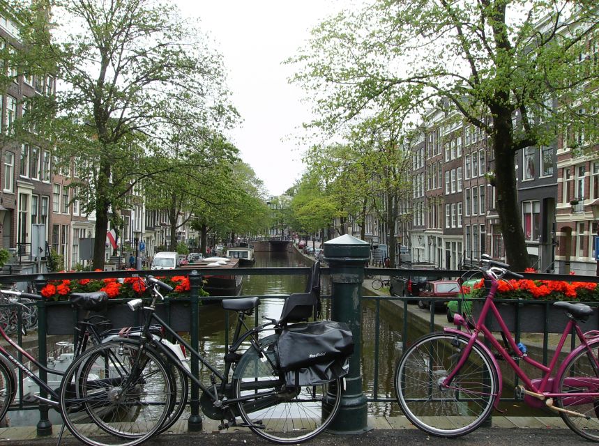 Amsterdam 1-Hour Rickshaw Tour - Price and value: what $141 per group actually means