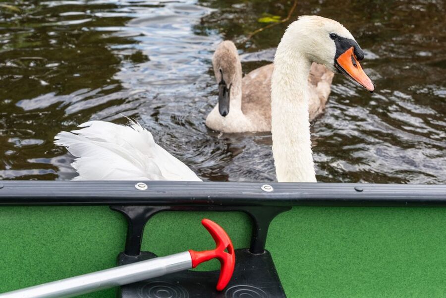 Amsterdam: 2-Hour Guided Canoe Trip - Should You Book the Amsterdam-Region 2-Hour Canoe Trip?