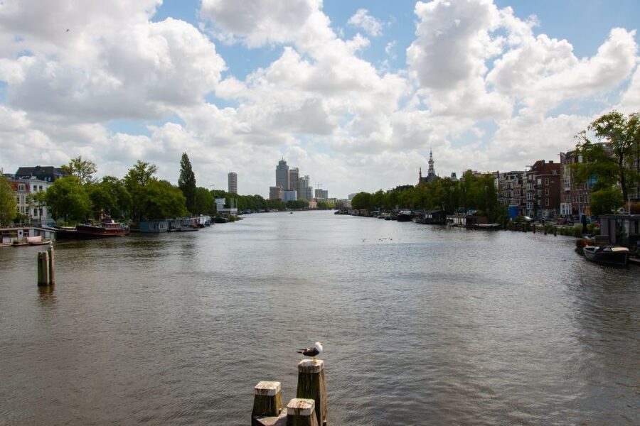 Amsterdam: 3 Course Dinner in the Dark - The 3 Courses Plus 2 Amuse Bouches: What the Menu Avoids