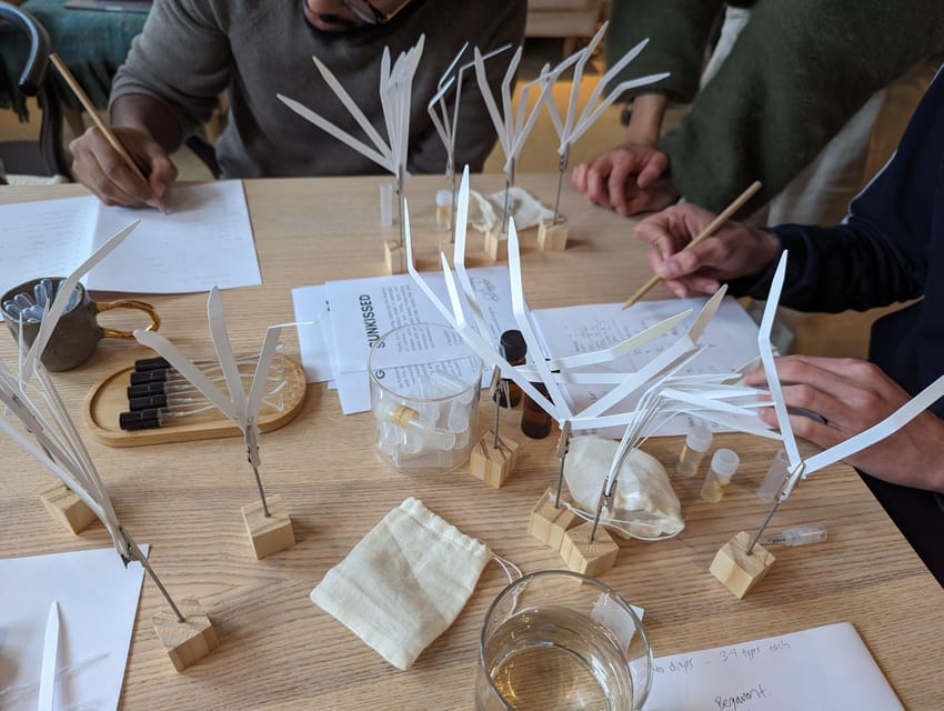 Amsterdam: 3-Hour Mindful Perfume-Making Workshop - Part 3: Mindful Experimental Blending and Your 3ml Take-Home Perfume