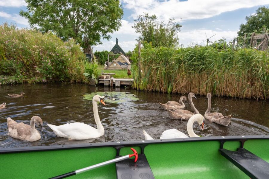 Amsterdam 5-Hour Guided Canoe Trip in the Wetlands - Price and value: what $105 buys you for 5 hours