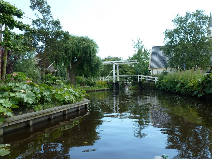 Amsterdam 5-Hour Guided Canoe Trip in the Wetlands - Getting there from Amsterdam Noord, and why the meeting point helps