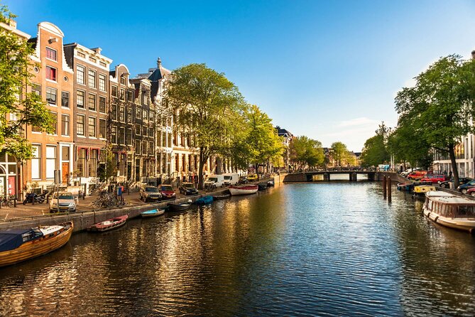 Amsterdam Airport & Non-Airport Private Transfer to City Center - How to Pick the Right Pickup Time When Immigration Runs Late