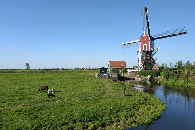 Amsterdam and Countryside Private Full-Day Tour by luxury car - Inside the UNESCO windmill and the Beemster story
