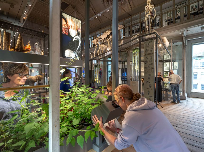 Amsterdam: ARTIS-Groote Museum Entry Ticket - Touch and Trick Your Brain: Interactive Machines With Real Purpose