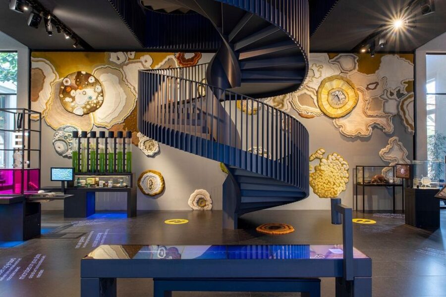 Amsterdam: ARTIS-Micropia Microbe Museum Entry Ticket - The Laboratorium vibe: daily talks and the science you can actually watch