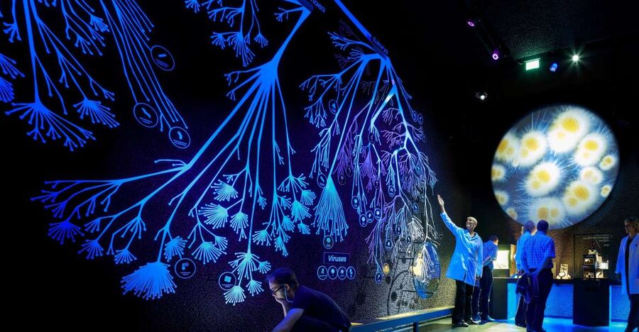 Amsterdam: ARTIS-Micropia Microbe Museum Entry Ticket - Price and value check: what $21 buys, and when it feels like a great deal