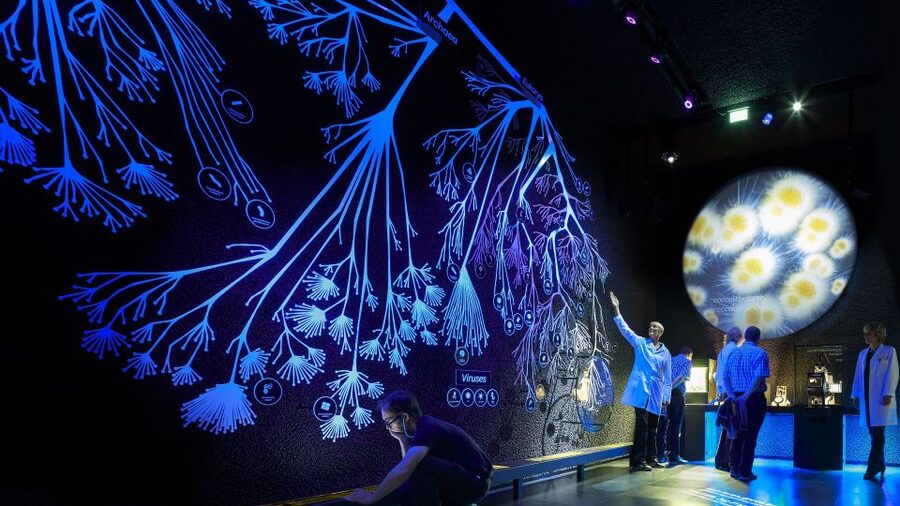 Amsterdam: ARTIS-Micropia Microbe Museum Entry Ticket - Should you book ARTIS-Micropia entry tickets?