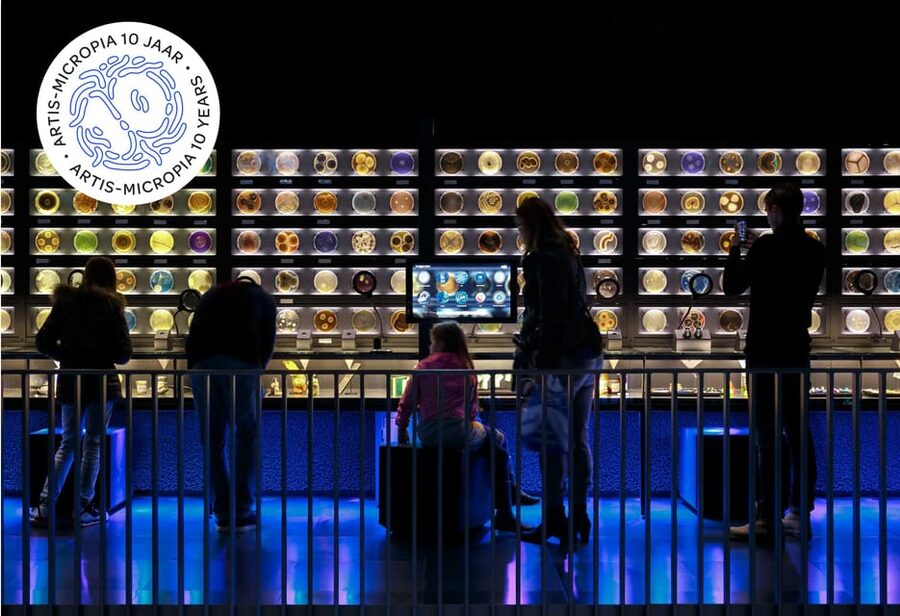 Amsterdam: Artis Royal Zoo & ARTIS-Micropia Combo Ticket - Key points before you go