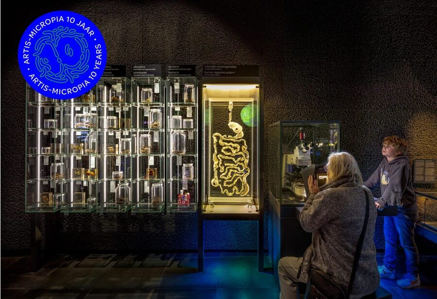 Amsterdam: Artis Royal Zoo & ARTIS-Micropia Combo Ticket - Value for money: why this combo makes sense at $55