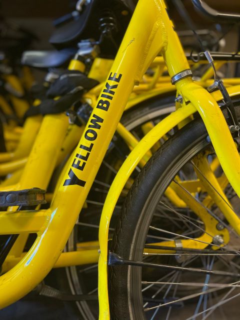 Amsterdam Bike Rental: Central Station & City Center - How to plan your 1-day route, from canals to windmills