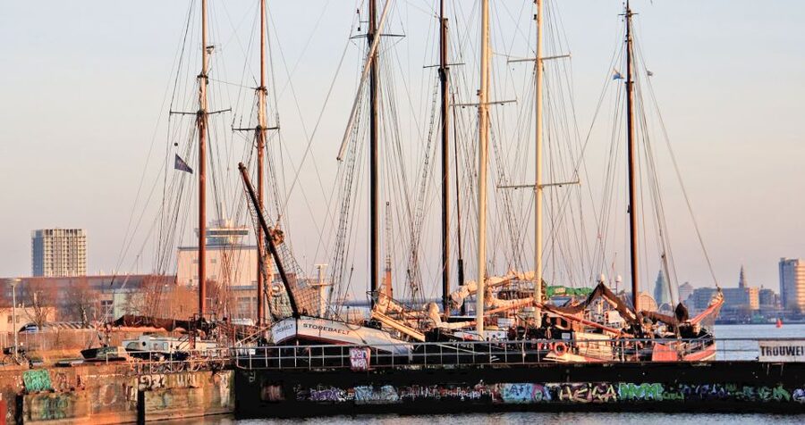Amsterdam: Bike Tour (Noord) in German or English - Rolling north from Sea Palace, the start point that matters