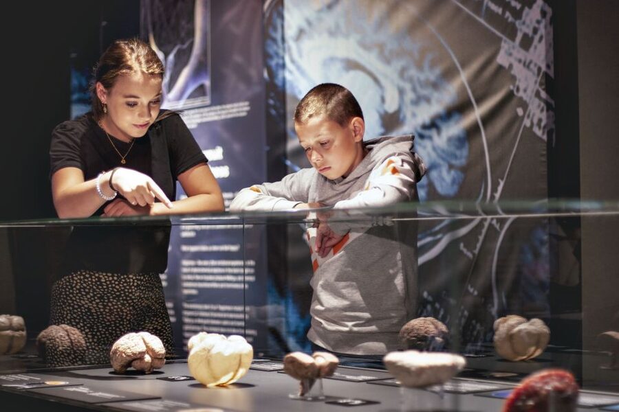 Amsterdam: Body Worlds Exhibition and Canal Cruise - Who this experience suits best, and who should think twice