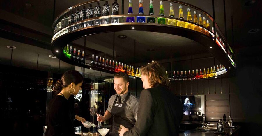 Amsterdam: Bols Cocktail Experience and Cocktail Workshop - Things to Watch Out For