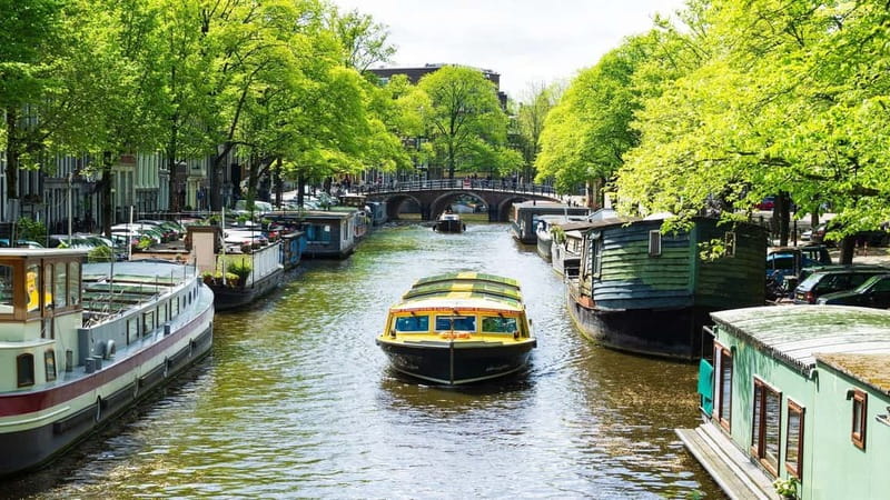 Amsterdam canal cruise with culinary burger or cheese & wine - Skipper stories in English, audio guide backup, and how hosts keep the mood right