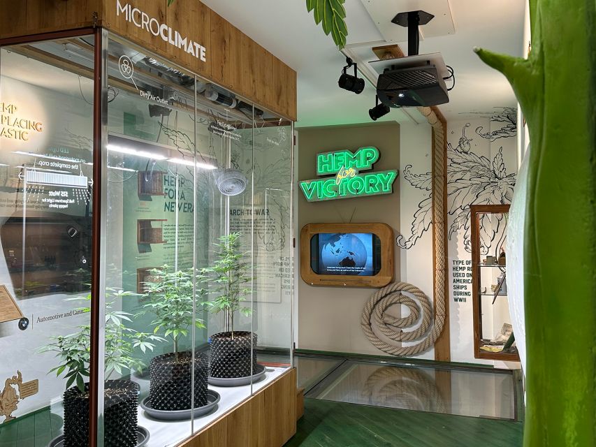Amsterdam: Cannabis Museum Entry Ticket - Key things that make this Amsterdam museum ticket worth your time