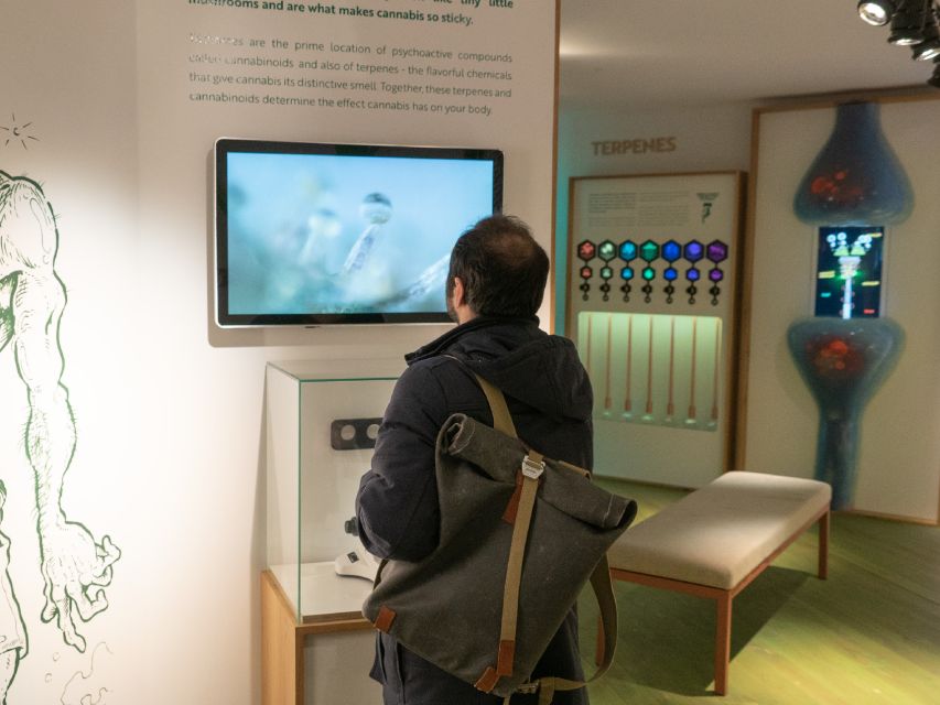 Amsterdam: Cannabis Museum Entry Ticket - Getting Oriented at Cannabis Museum Amsterdam