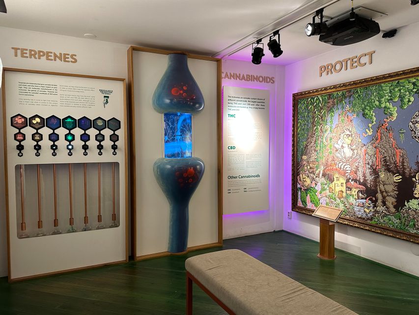 Amsterdam: Cannabis Museum Entry Ticket - Who This Amsterdam Cannabis Museum Ticket Is Best For