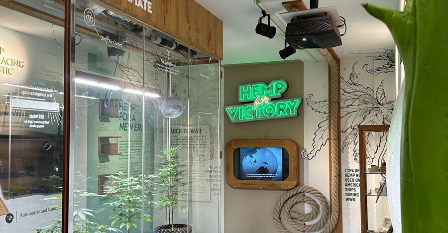 Amsterdam: Cannabis Museum Entry Ticket - What You Get for the $14 Ticket Price (and Why It Works)