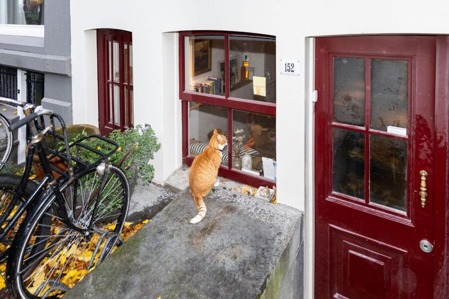 Amsterdam Central Walking Tour - Why this 2-hour Amsterdam Central walk works so well