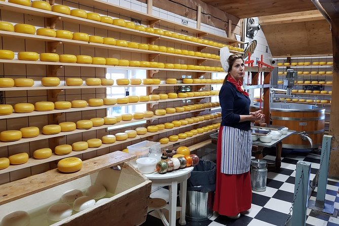 Amsterdam City & Countryside Tour: The Best of both Worlds - Pickup and private transport, the unglamorous part that saves your vacation