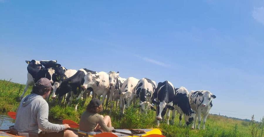 Amsterdam: Countryside Bike and Kayak Guided Tour - Key things I’d circle before you go