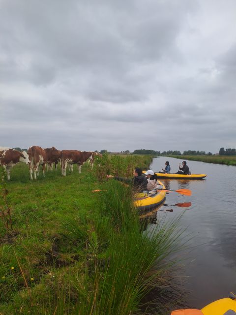 Amsterdam: Countryside Bike and Kayak Guided Tour - Meet at ADAM Lookout, then start riding fast