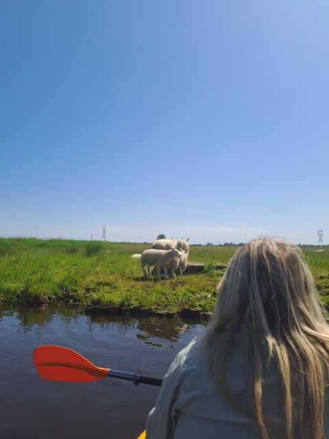 Amsterdam: Countryside Bike and Kayak Guided Tour - Kayaking in Broek in Waterland canals: the quiet Dutch you came for