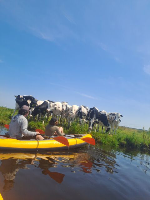 Amsterdam: Countryside Bike and Kayak Guided Tour - Biking in Amsterdam-Noord to close the loop