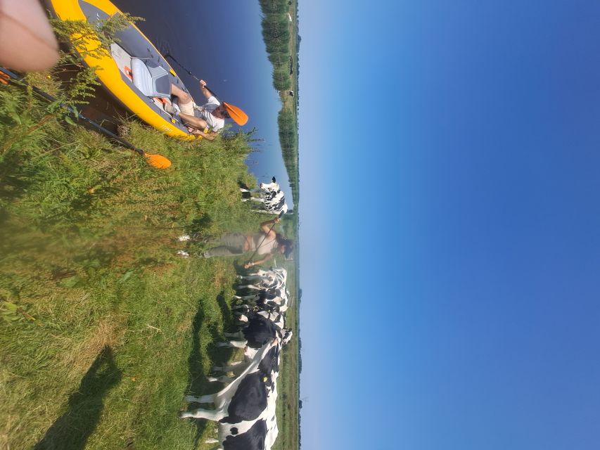 Amsterdam: Countryside Bike and Kayak Guided Tour - Value check: what $84 gets you, and what it does not