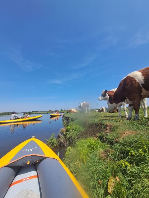 Amsterdam: Countryside Bike and Kayak Guided Tour - Who should book this, and who should pass