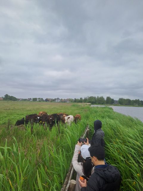 Amsterdam: Countryside Bike and Kayak Guided Tour - d’Admiraal Windmill: the photo stop with real working context