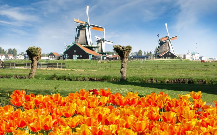 Amsterdam: Day Tour Keukenhof and Zaanse Schans Windmills - Getting back to Amsterdam: easy buses, but watch your last run