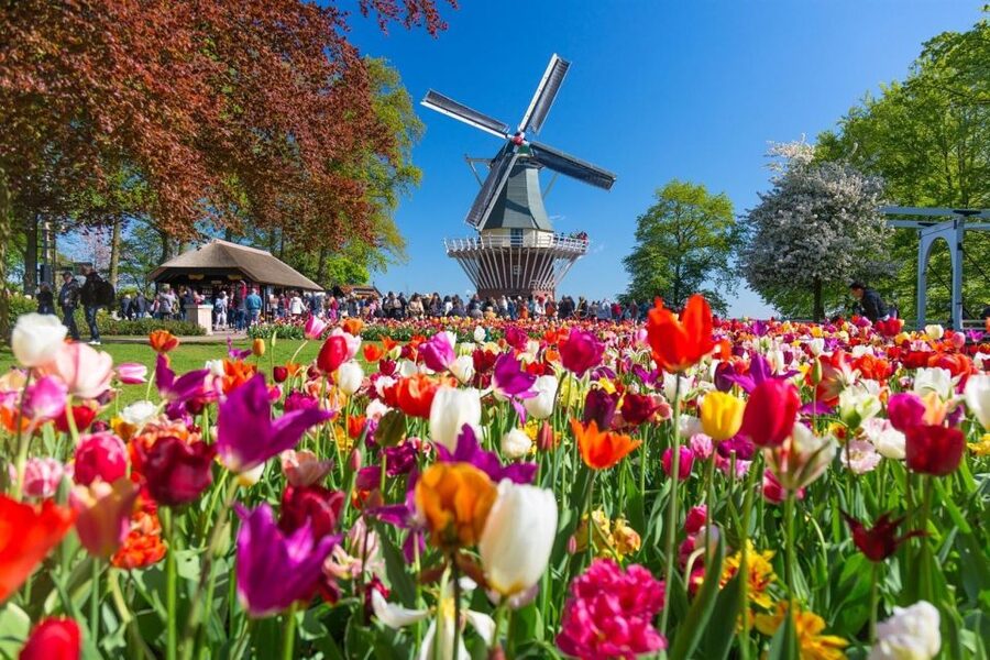 Amsterdam: Day Tour Keukenhof and Zaanse Schans Windmills - Who should book this Amsterdam Keukenhof and Zaanse Schans tour