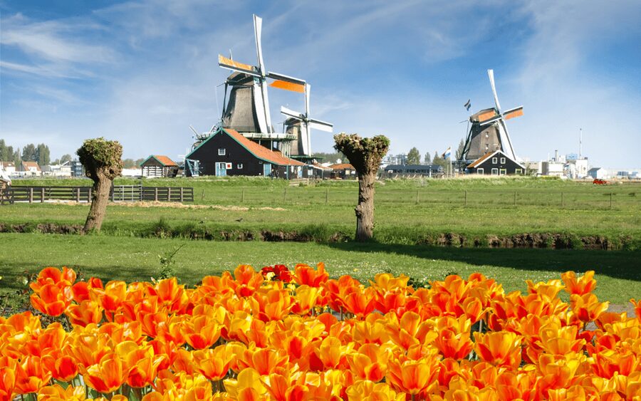 Amsterdam: Day Tour Keukenhof and Zaanse Schans Windmills - Zaanse Schans windmills: photos, shops, and optional inside access