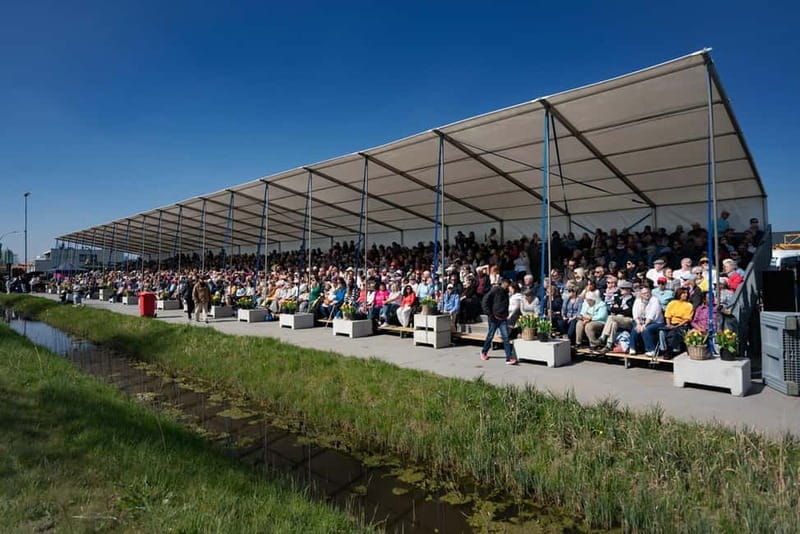 Amsterdam: Day Trip to Flower Parade & Keukenhof on April 18 - VIP grandstand seating: what you’re really paying for