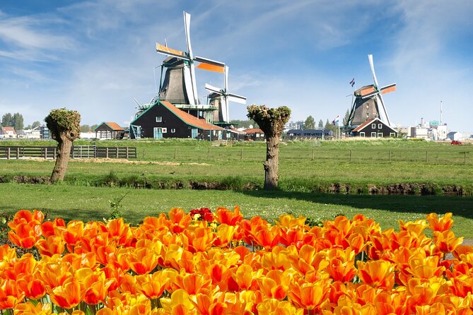 Amsterdam: Day Trip to Keukenhof & Zaanse Schans Windmills - Key highlights and what to watch for
