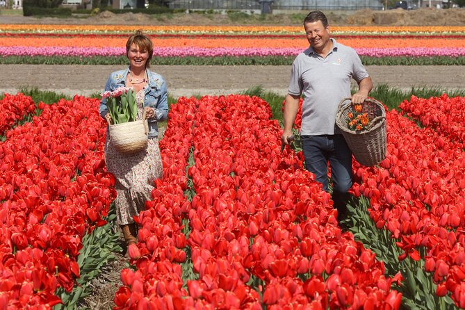 Amsterdam: Day trip to Tulip Farm, Keukenhof + Windmill Cruise - De Tulperij and the Tulip Farm experience: meet Daan and Anja