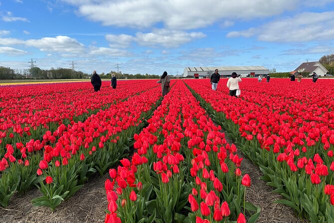 Amsterdam: Day trip to Tulip Farm, Keukenhof + Windmill Cruise - Kagerplassen windmill cruise: a slower pace after the crowds