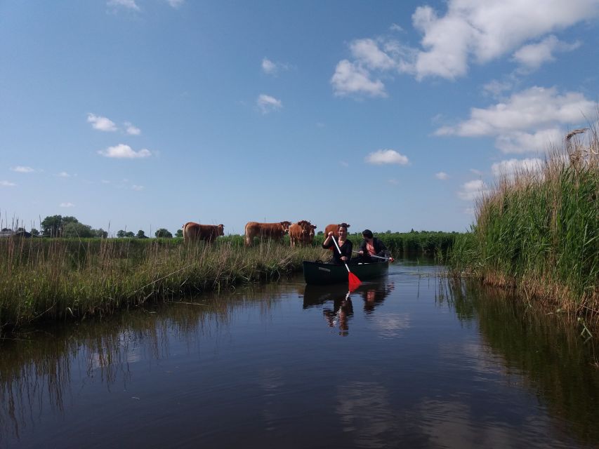 Amsterdam: Dutch Countryside Sunset Canoe Tour - Price and value: why $92 feels fair for what’s included