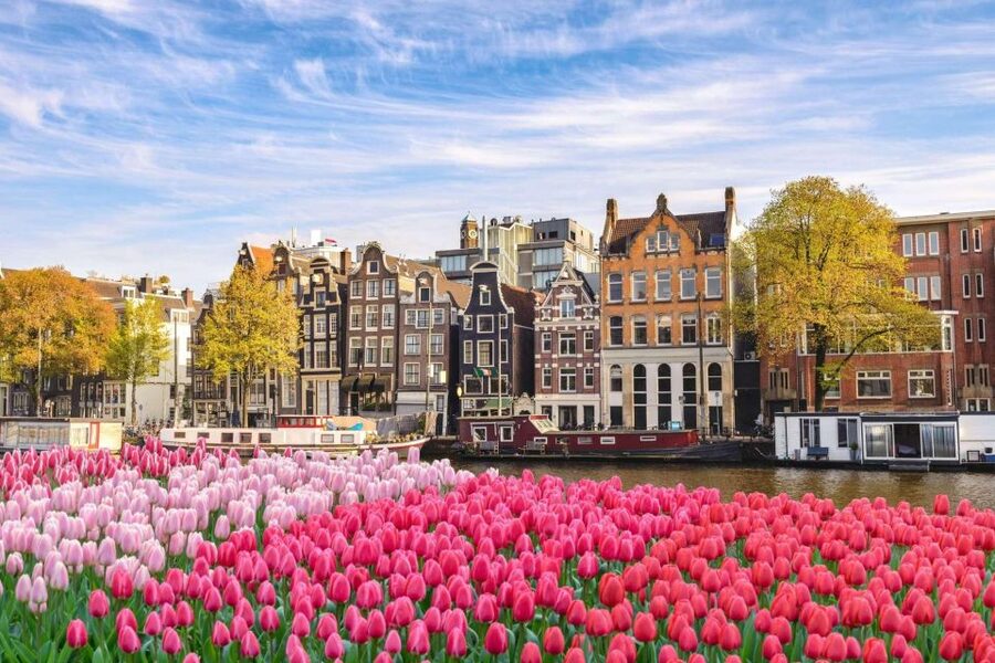 Amsterdam Family Friendly Historical Walking Tour - Who this tour suits best