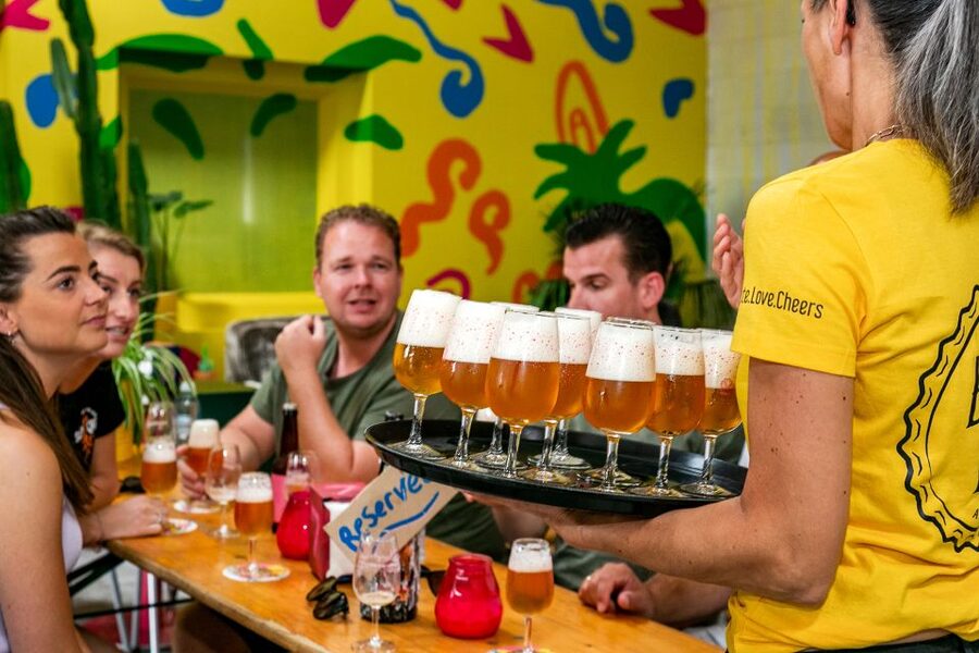 Amsterdam: Guided Craft Beer Brewery Bus Tour with Tastings - The tasting reality: nine mini tastings and how to choose favorites