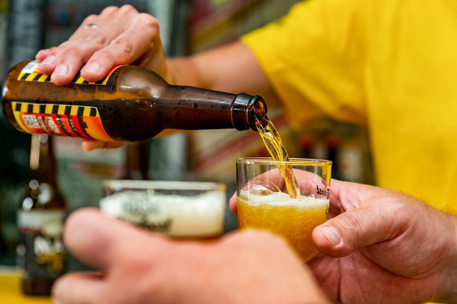 Amsterdam: Guided Craft Beer Brewery Bus Tour with Tastings - The beer guide factor: what the guide does during the whole ride