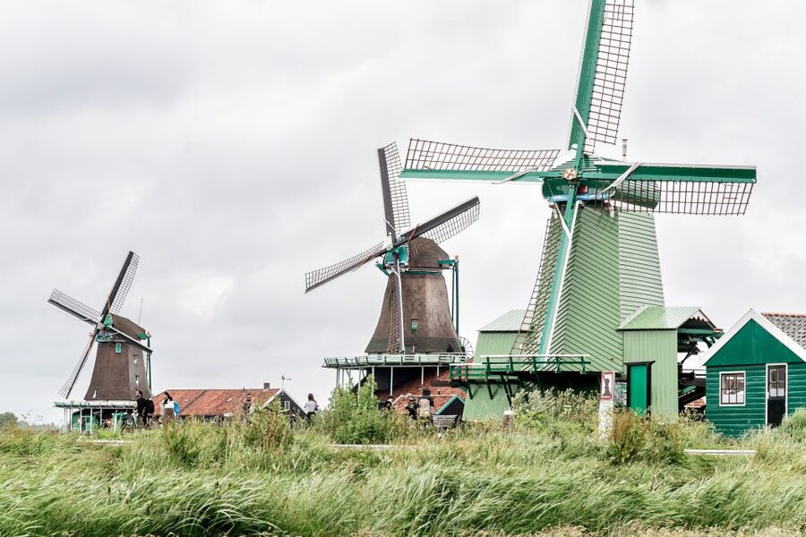Amsterdam: Guided Zaanse Schans, Windmills & Cheese Tour - Timing, group size, and comfort tips that really help